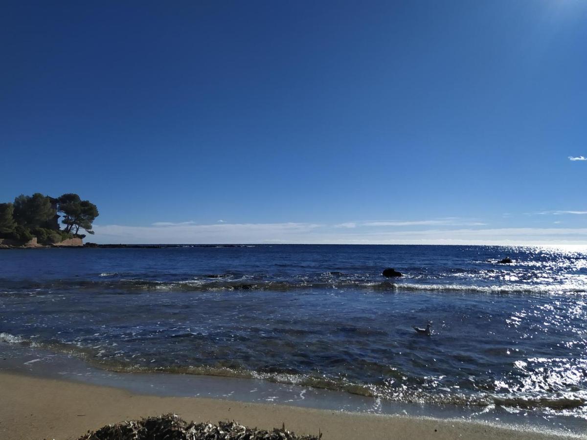 Studio Paradise Entre Mer Et Pins Saint-Raphaël المظهر الخارجي الصورة